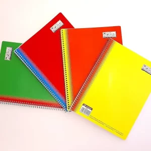 Cuaderno Profesional Roca 100 Hojas Raya