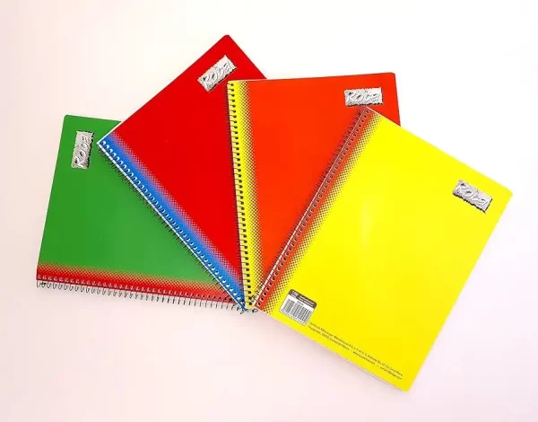 Cuaderno Profesional Roca 100 Hojas Raya