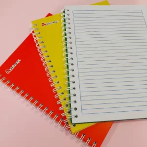 Cuaderno Profesional Arimany 100Hojas Raya
